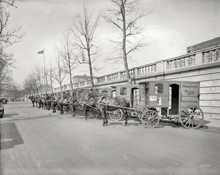 07-Carts-for-transporting-dairy-Thompson-Washington-1927-