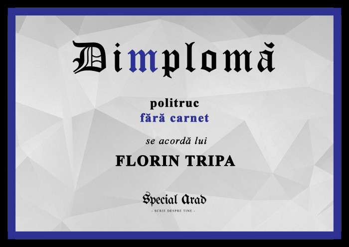 DIMPLOMA FLORIN TRIPA