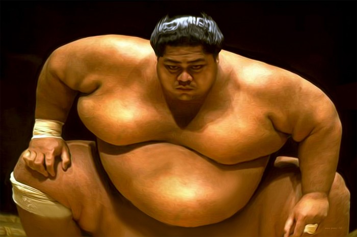 sumo-wrestler
