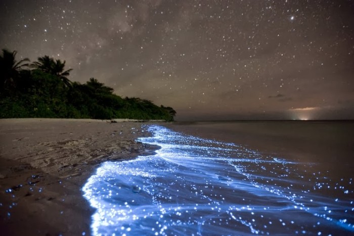 Shimmering-shores-of-Vaadhoo-Maldives