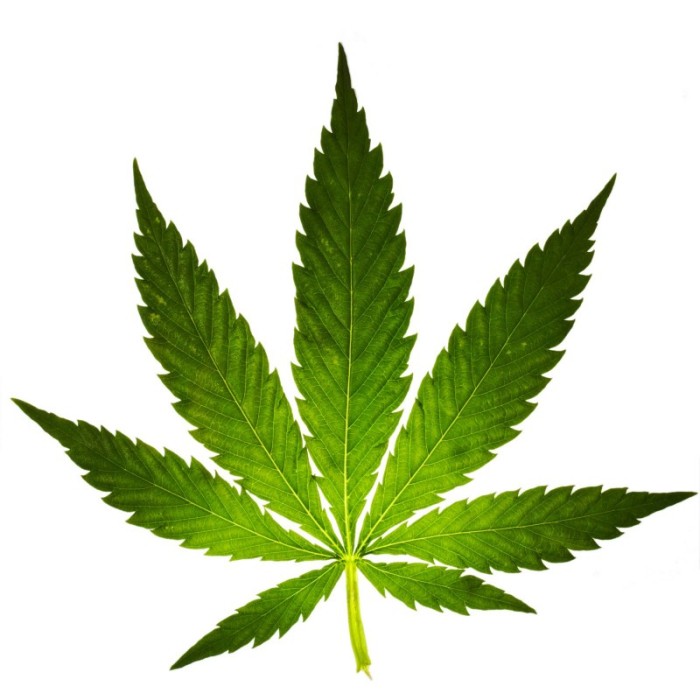 cannabis leaf 80682