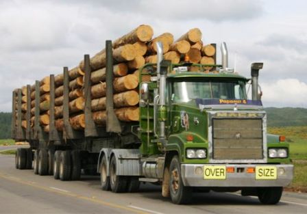 Logging trucks081
