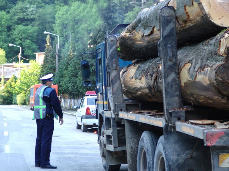 transport ilegal de lemne