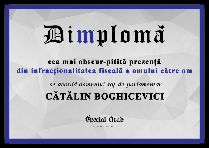 DIMPLOMA SOT-DE-PARLAMENTAR CATALIN BOGHICEVICI