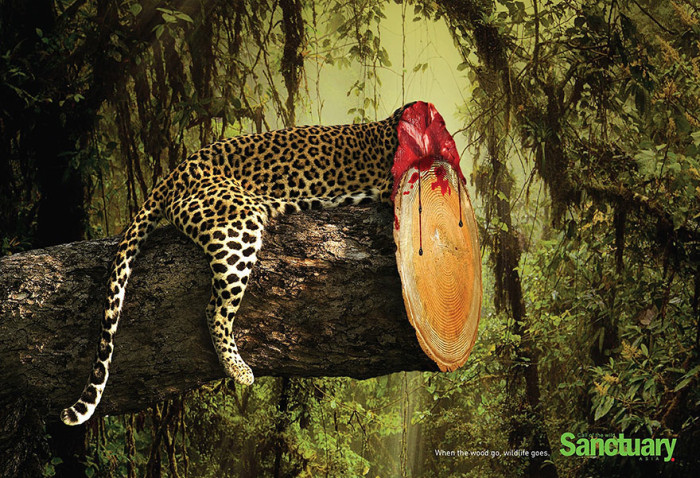 animal-rights-social-ads-call-of-the-wild-sanctuary-asia-2