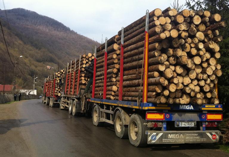 camion cu lemne2