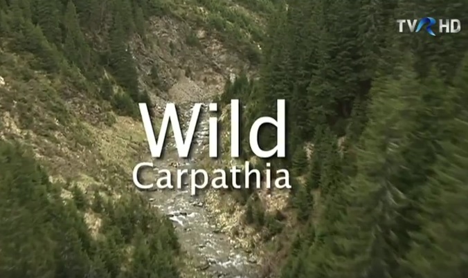 wild carpathia