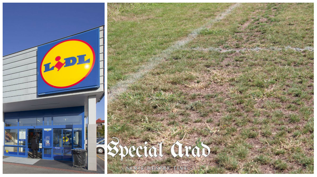 lidl collage