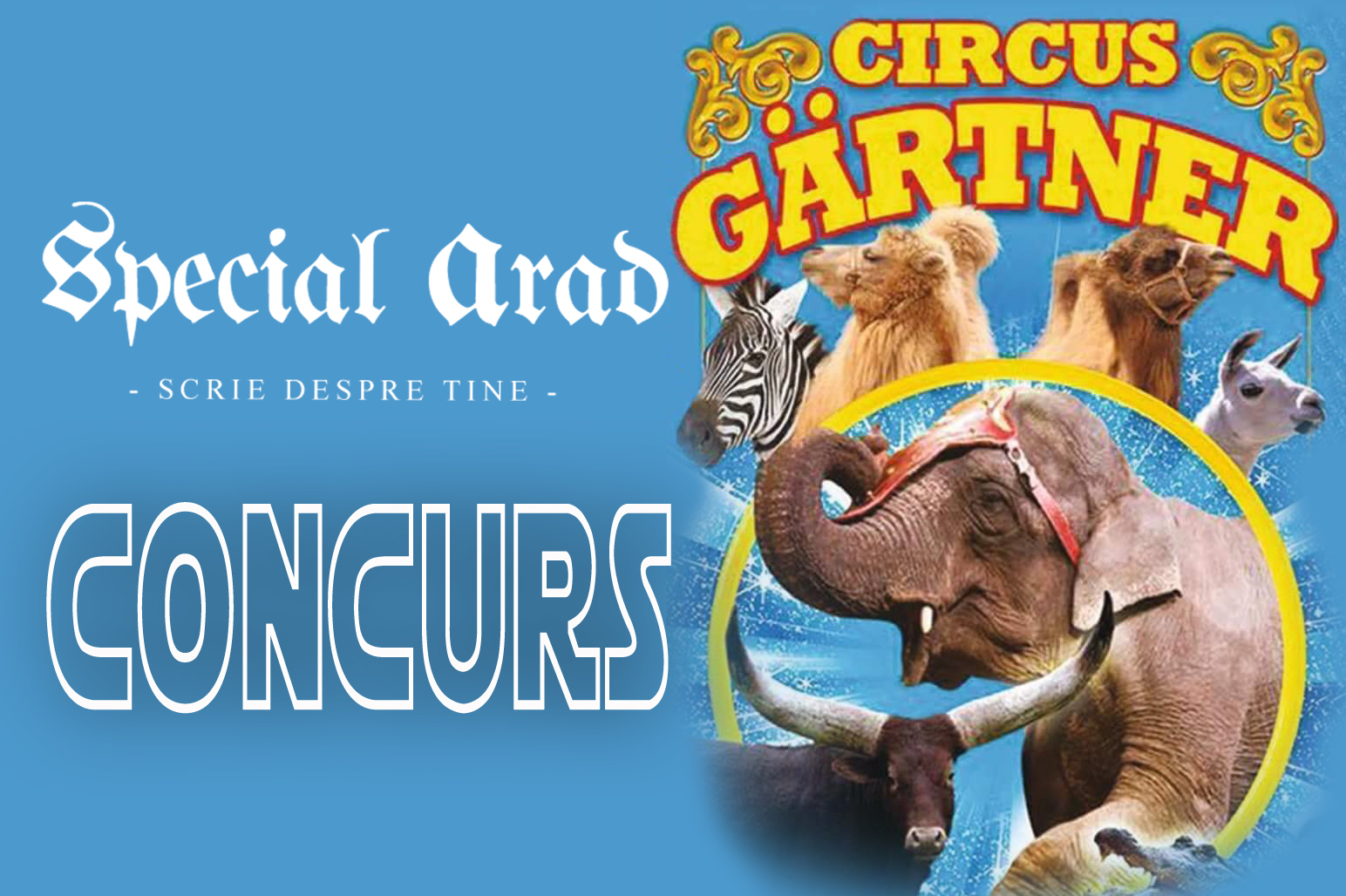 concurs special arad circ gartner