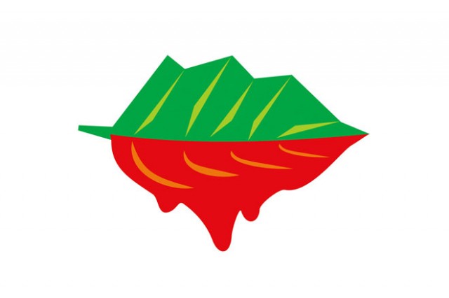 RosiaMontana Logo
