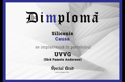 DIMPLOMA SILICONIS CAUSA - UVVG FARA PAMELA ANDERSON