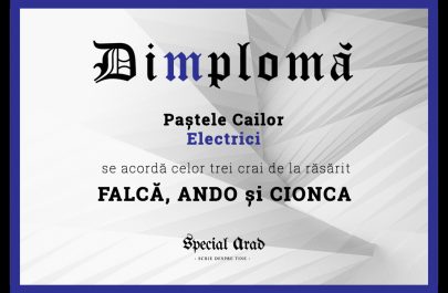 DIMPLOMA FALCĂ, ANDO și CIONCA