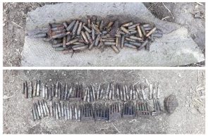 Peste o sută de cartușe de infanterie și o grenadă defensivă descoperite într o grădină în orașul Chișineu Criș