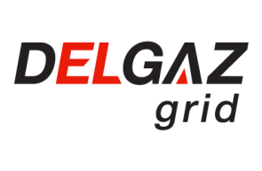 Logo Delgaz grid positive web