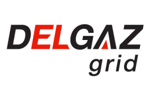 Logo Delgaz grid positive web