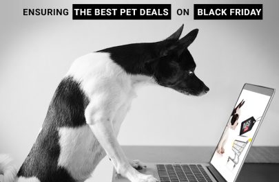 Best-Pet-Deals-on-Black-friday