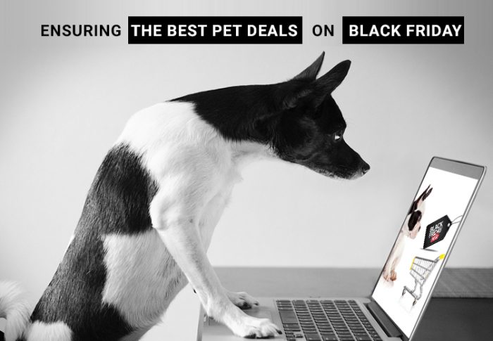 Best Pet Deals on Black friday
