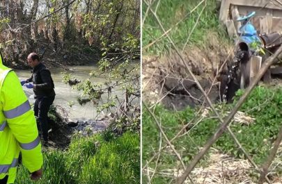 Comisarii Gărzii de Mediu Arad sunt luați la bani mărunți de firmele care fac haine de piele în zona Sebișului. Și, culmea, pare că le și place și mai vor!