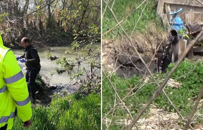 Comisarii Gărzii de Mediu Arad sunt luați la bani mărunți de firmele care fac haine de piele în zona Sebișului. Și, culmea, pare că le și place și mai vor!