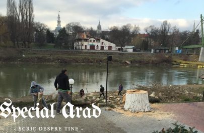 „Aradul este cel mai verde oraș din România”... poate începând cu Evul Mediu și până în urmă cu câțiva ani!