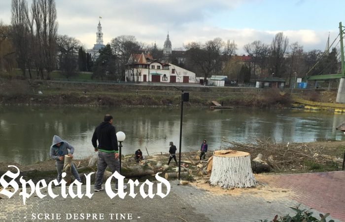 „Aradul este cel mai verde oraș din România”... poate începând cu Evul Mediu și până în urmă cu câțiva ani!