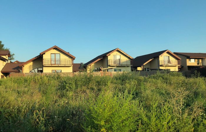 Romana Residence Arad, sau casa care îți provoacă alergie... Pădurea de ambrozie de lângă locuința pe care ai visat-o