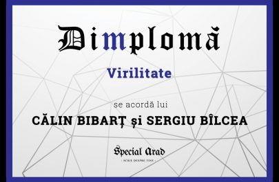 DIMPLOMA CĂLIN BIBARȚ și SERGIU BÎLCEA