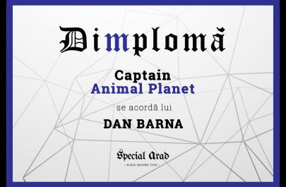 DIMPLOMA DAN BARNA