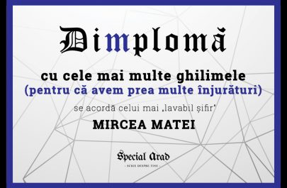 DIMPLOMA MIRCEA MATEI