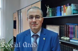 flavius bradin tribunalul arad