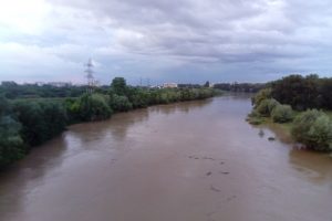 Mures