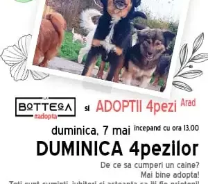 Bottega-2023-04-20-at-15.24.43