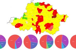 Lista rezultatelor finale la Alegerile locale 2020 pentru fiecare localitate din județul Arad