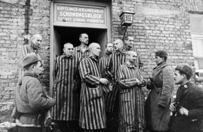 1 liberation of auschwitz gettyimages 170987449