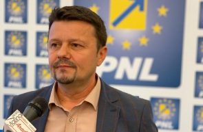 ionel bulbuc PNL ARAD