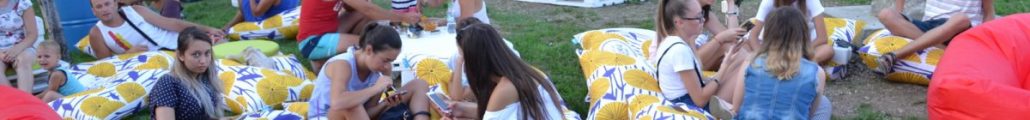 Picnic Festival