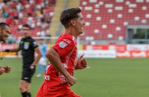 miculescu 1
