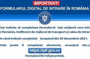 formularul digital de intrare in romania
