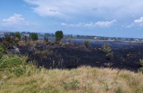 incendiu stins vegetatie uscata Tarafului