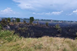 incendiu stins vegetatie uscata Tarafului
