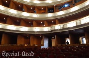 teatru clasic ioan slavici arad (3)