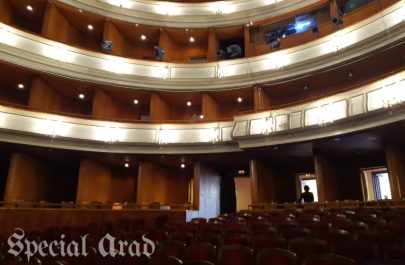 teatrul clasic ioan slavici arad (3)
