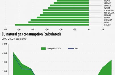 consum-eurostat ok