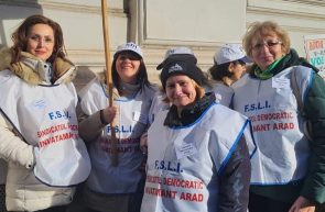 protest sindicat invatamant arad