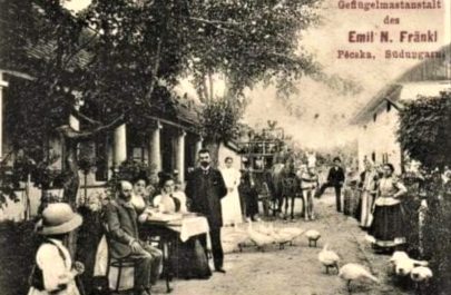 Pecica 1905