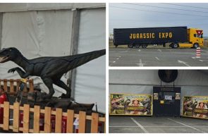 expozție dinozauri remarkt arad