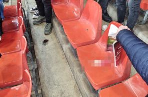Suporterii echipei Charleroi au aruncat cu şobolani morţi către fanii formaţiei Standard Liege