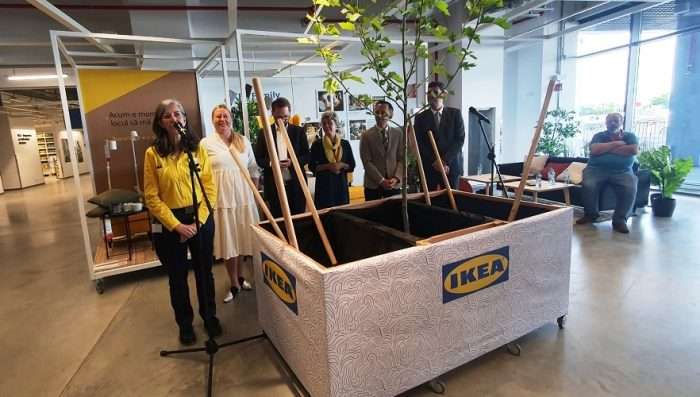 IKEA Timiosra CEO