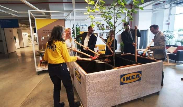 IKEA Timisoara 2