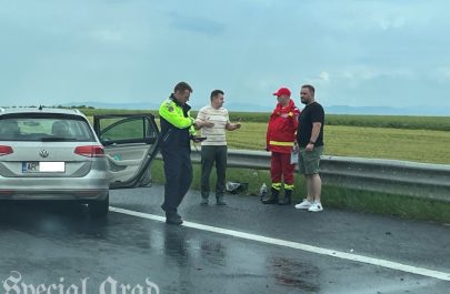 accident autostrada a1 arad 9 iunie (3)
